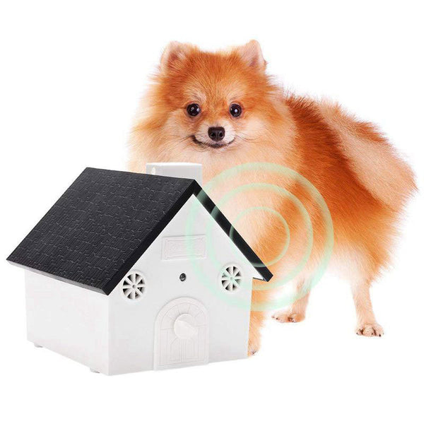 Pet